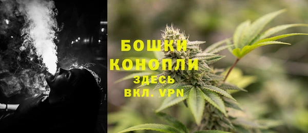 apvp Пересвет