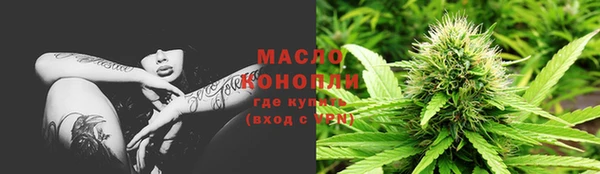 дмт Ветлуга