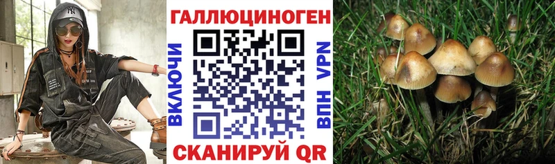 хочу наркоту  Томмот  Псилоцибиновые грибы мухоморы 